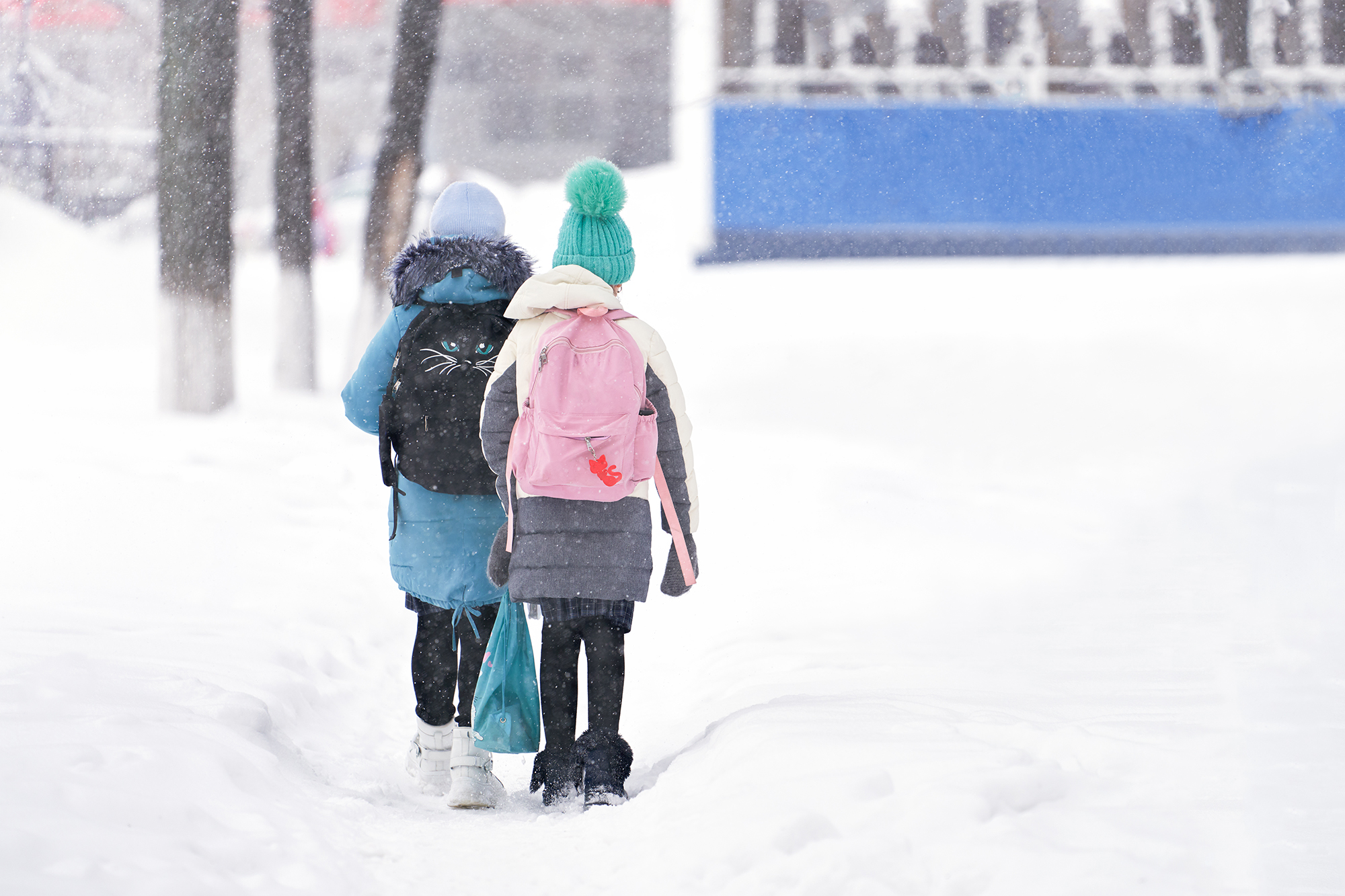 Two elementary schoolgirls go to school on a snow-covered path among snowdrifts. Snow is falling. Copy space.